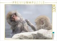 CALVENDO Puzzle EIN Motiv aus dem Kalender Schneeaffen im Jigokudani...