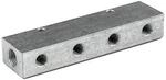 RIEGLER 112526-VT 15504 Verteilerleiste, Abg&auml;nge einseitig, Eingang 2x1/8,...
