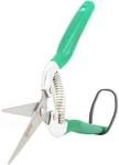 FRUIT AND FLOWERS SHEARS