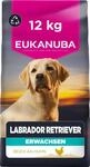 Eukanuba Breed Care Labrador Retriever Trockenfutter, 12 kg | Premium Hundefutter mit
