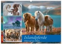 Kalender 2027 &middot; Islandpferde | Zw&ouml;lf Monate voller beeindruckender Bilder...