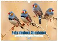 Zebrafinken Abenteuer (Wandkalender 2027 DIN A4 quer), CALVENDO Monatskalender: