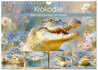 Krokodile. Stille Kraft irgendwo am Wasser (Wandkalender 2027 DIN A4 quer), CALVENDO