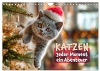Katzen - Jeder Moment ein Abenteuer (Wandkalender 2027 DIN A4 quer), CALVENDO