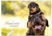 Kalender 2027 &middot; Hunde 2027 - Treue Begleiter | Harmonische Hundeportraits