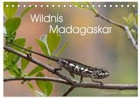 Wildnis Madagaskar (Tischkalender 2027 DIN A5 quer), CALVENDO Monatskalender: Im