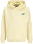 JACK & JONES Herren Jornorrebro Typo Back Sweat Hood Sn Jnr Jornorrebro Typo Back