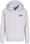 Jack & Jones Herren Jjaero Sweat Zip Hood Jnr Jjaero Sweat Zip Hood Jnr (1er Pack)