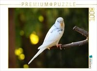 Puzzle &middot; EIN Motiv aus dem Kalender Wellensittich-K&uuml;ken | 1000 Teile &middot;