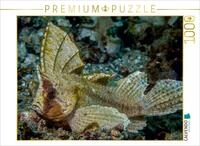 CALVENDO Puzzle Schaukelfisch | 1000 Teile Lege-Gr&ouml;&szlig;e 64 x 48 cm Foto-Puzzle...