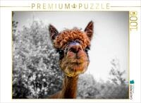 CALVENDO Puzzle EIN Motiv aus dem Kalender Alpaka Gesichter | 1000 Teile...