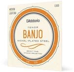 D'Addario Tenor Banjosaiten Nickel-Plated Steel EJ63, 9-30 | D'Addario...