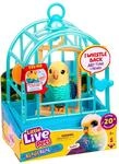 Little Live Pets Vogel & K&auml;fig Indie, interaktives V&ouml;gelchen | &Uuml;ber 20...