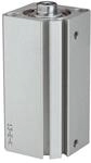RIEGLER 115088-12.DMI.25040 Kurzhubzylinder &raquo;ACQ&laquo; doppeltwirkend, Kolben-&Oslash;...
