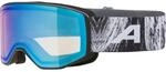 ALPINA VENET Q-LITE Skibrille | kontrastverst&auml;rkend - beschlagfrei - f&uuml;r