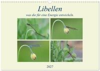 Kalender 2027 &middot; Libellen, was die f&uuml;r eine Energie entwickeln | Ich habe sie