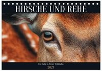 Kalender 2027 &middot; HIRSCHE UND REHE - Ein Jahr in freier Wildbahn | Rehe und...