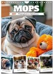 Kalender 2027 &middot; MOPS Pfotengl&uuml;ck in Faltenform | Herzerw&auml;rmende Momente...