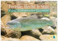 Kalender 2027 &middot; Forelle, Hecht und St&ouml;r: Fische in europ&auml;ischen Gew&auml;ssern 