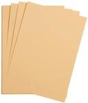Clairefontaine 975564C Packung mit 25 Bastelkartons Maya, 185g, DIN A2, 42 x...