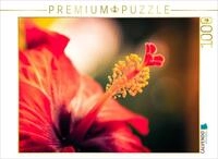 CALVENDO Puzzle Hibiskus-Bl&uuml;te, rot | 1000 Teile Lege-Gr&ouml;&szlig;e 64 x 48 cm...