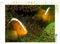 CALVENDO Puzzle Nemos in ihrem gr&uuml;nen Zuhause | 1000 Teile Lege-Gr&ouml;&szlig;e 64 x...