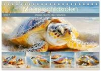 Kalender 2027 &middot; Meeresschildkr&ouml;ten. Reise durch die Ozeane | Malerische...