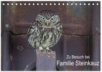 Kalender 2027 &middot; Zu Besuch bei Familie Steinkauz | Aus dem Leben einer