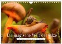 Kalender 2027 &middot; Die magische Welt der Pilze | Die besondere Welt der Pilze erleben