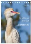 Die sch&ouml;nsten Brutv&ouml;gel Lanzarotes (Tischkalender 2027 DIN A5 hoch), CALVENDO