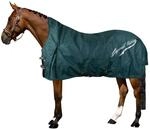 Imperial Riding Outdoordecke IRHSuper-Dry 0gr, Forest Green, 195