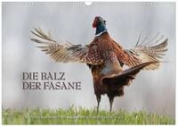 Kalender 2027 &middot; Emotionale Momente: Die Balz der Fasane/CH-Version | Die Balz der