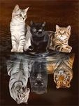 Pracht Creatives Hobby Diamond Painting Set, Bild mit Motiv DREI Katzen und...