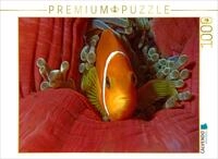 Puzzle &middot; Nemo, wie auf Samt gebettet | Ein Malediven Anemonenfisch ganz nah &middot; 1000