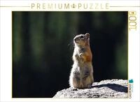 Puzzle &middot; Chipmunk | 1000 Teile &middot; Lege-Gr&ouml;&szlig;e 64 &times; 48 cm &middot; CALVENDO Puzzle