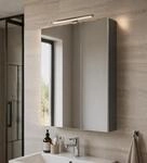 Schildmeyer Spiegelschrank Adana 161027, anthrazit, 60 x 16 x 74,8 cm