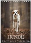 Kalender 2027 &middot; Hunde - Unsere treuen Wegbegleiter | 13 ausdrucksstarke...