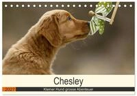 Kalender 2027 &middot; Chesley Kleiner Hund grosse Abenteuer | Fr&ouml;hlicher Wald und...