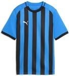 Puma Unisex Kinder Teamliga26 Striped Jersey Jr Trikots (1er Pack)