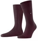 Burlington Lord Socken Blickdicht Baumwolle (Bio)