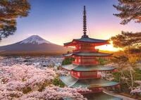 Ravensburger Puzzle Kirschbl&uuml;te in Japan - 1000 Teile Puzzle f&uuml;r Erwachsene |...