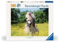 Ravensburger Puzzle Pferd im Rapsfeld - 500 Teile Puzzle f&uuml;r Erwachsene | 500...