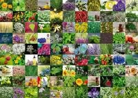 Ravensburger Puzzle 99 Kr&auml;uter und Gew&uuml;rze - 1000 Teile Puzzle | 1000 Teile...