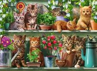 Ravensburger f&uuml;r Erwachsenenpuzzle Katzen im Regal - 500 Teile Puzzle | 500...