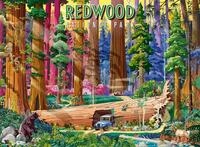 Ravensburger - 500-teiliges Puzzle - Redwood-Nationalpark - Erwachsene und...