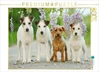 Puzzle &middot; Vier Freunde | unterm blauen Regen &middot; 1000 Teile &middot; Lege-Gr&ouml;&szlig;e 64...