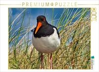 Puzzle &middot; Einheimischer | Neugieriger Austernfischer &middot; 1000 Teile &middot;...