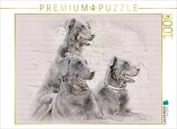 Puzzle &middot; Beauceron | 1000 Teile &middot; Lege-Gr&ouml;&szlig;e 64 &times; 48 cm &middot; CALVENDO Puzzle