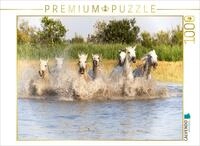 CALVENDO Puzzle Abk&uuml;hlung im Sumpf | 1000 Teile Lege-Gr&ouml;&szlig;e 64 x 48 cm...