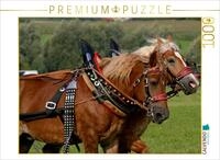 Puzzle &middot; Kaltblutgespann | 1000 Teile &middot; Lege-Gr&ouml;&szlig;e 64 &times; 48 cm &middot; CALVENDO Puzzle
